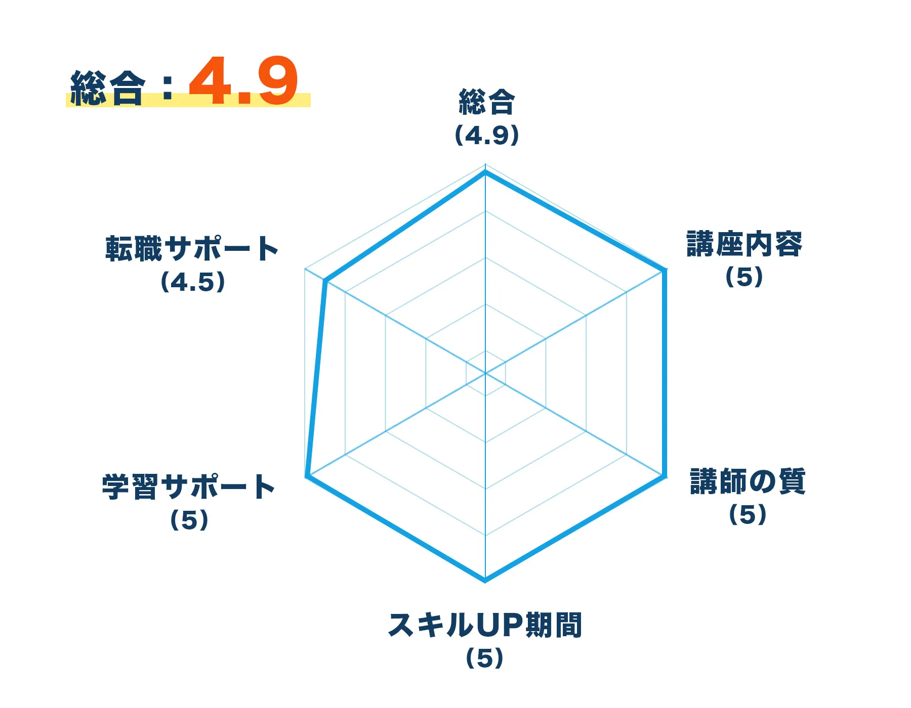 レーダーチャート